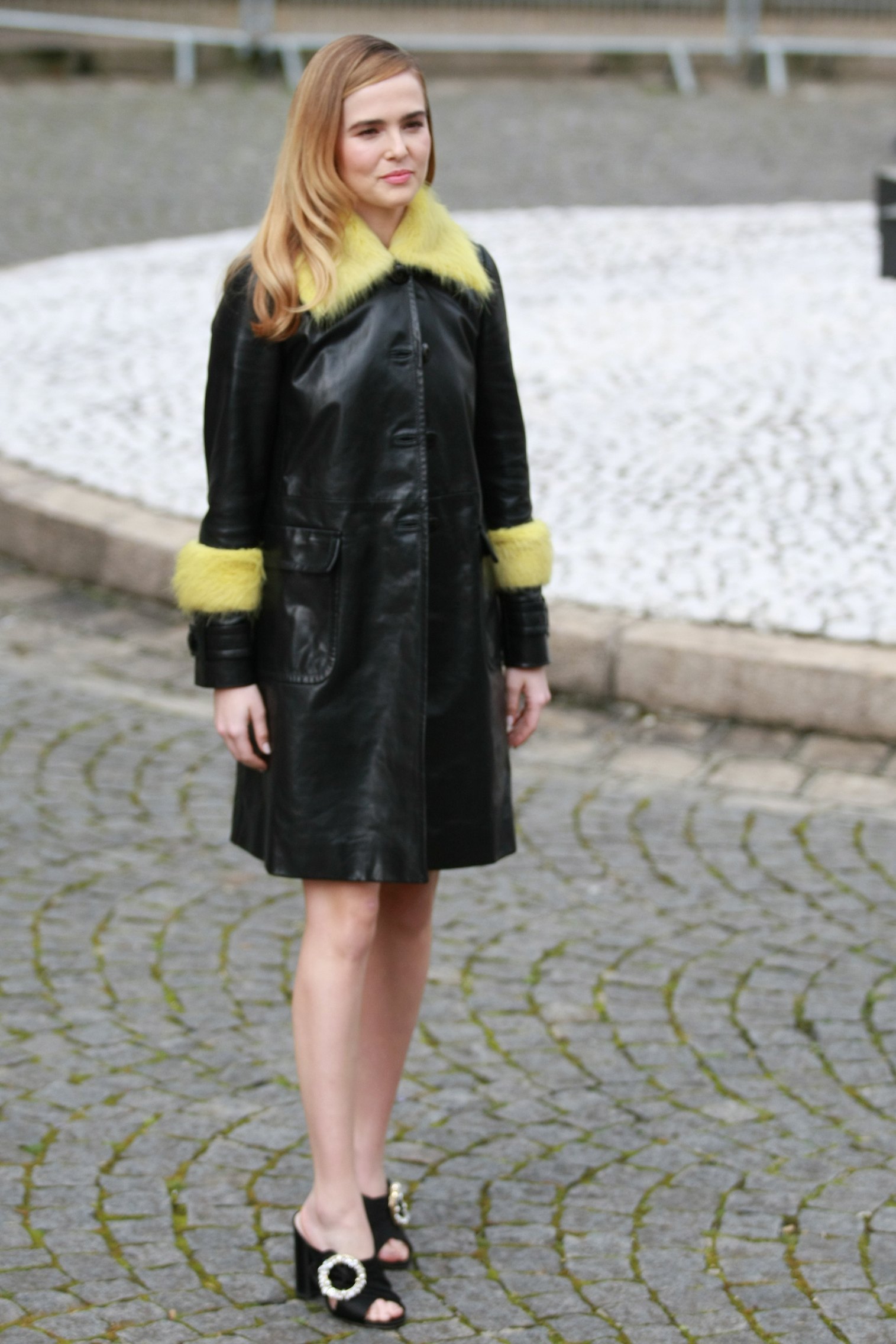 0029.jpg 0029.jpg
