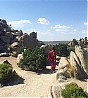 AZD-0672.jpg